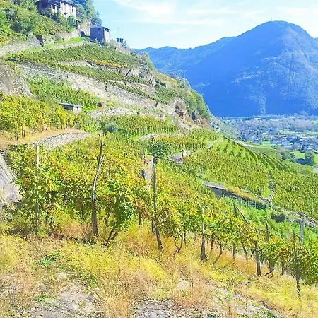 Pergolato Alpino P.terra Apartmán Teglio