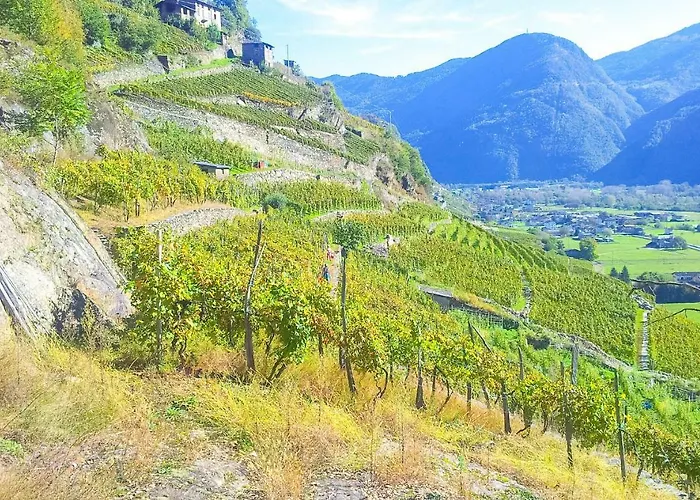 Pergolato Alpino P.terra Daire Teglio